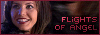 Flights of Angel